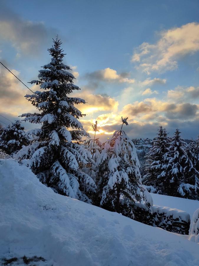 Le Chalet De Rothenbuhl Dabo المظهر الخارجي الصورة