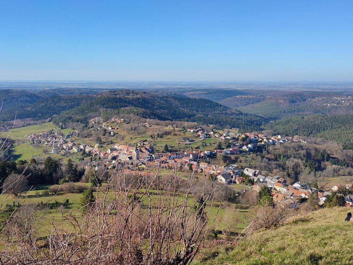 Le Chalet De Rothenbuhl Dabo المظهر الخارجي الصورة