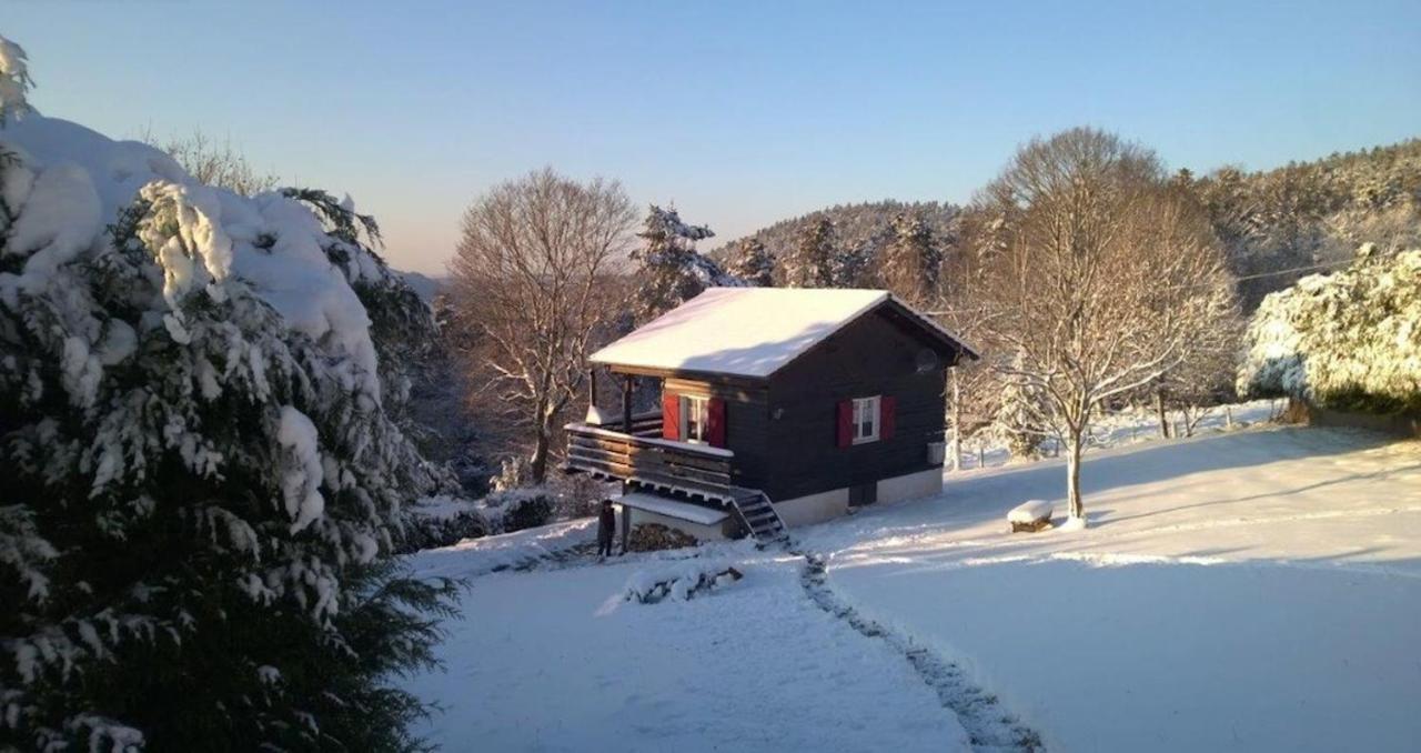 Le Chalet De Rothenbuhl Dabo المظهر الخارجي الصورة